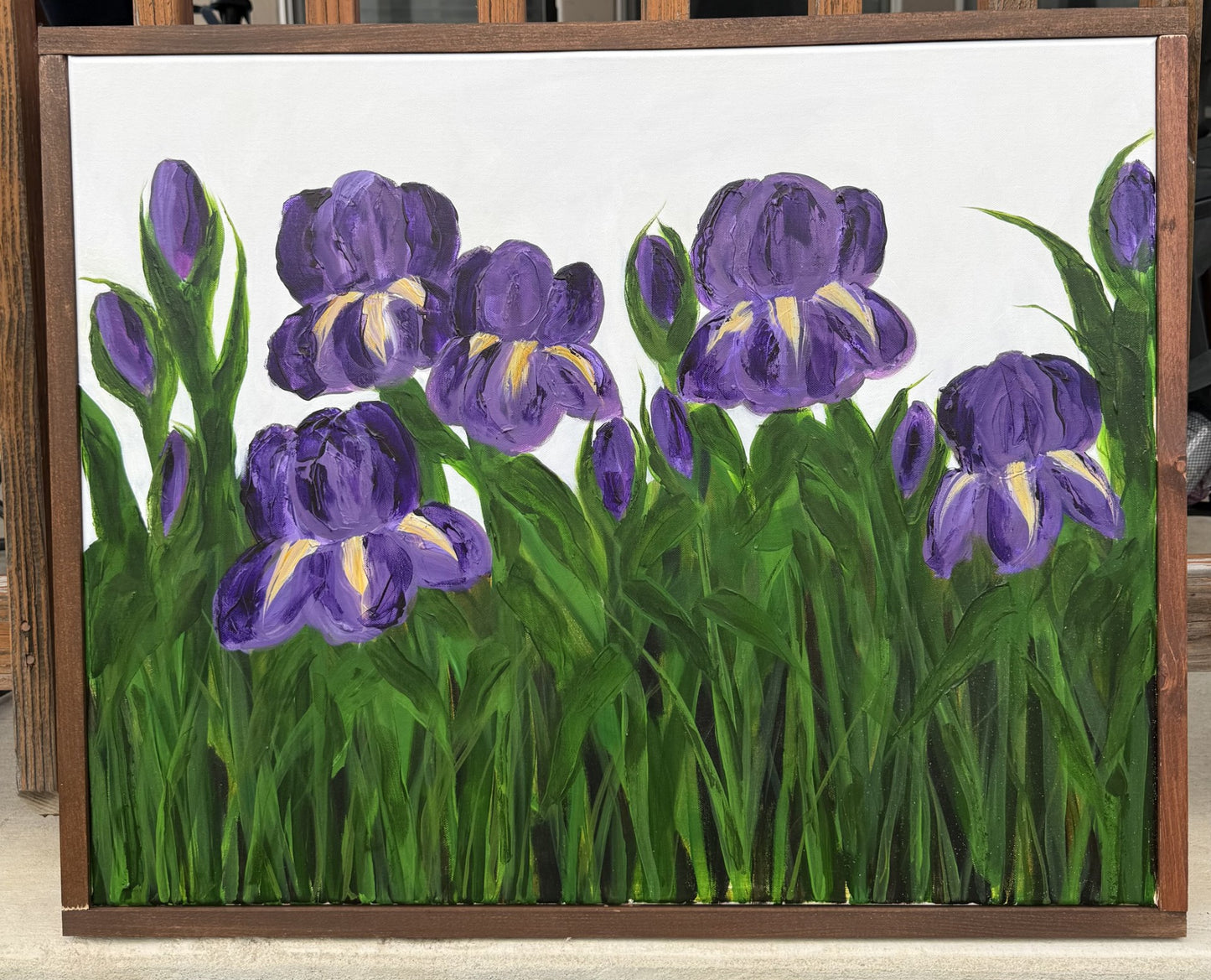 Iris